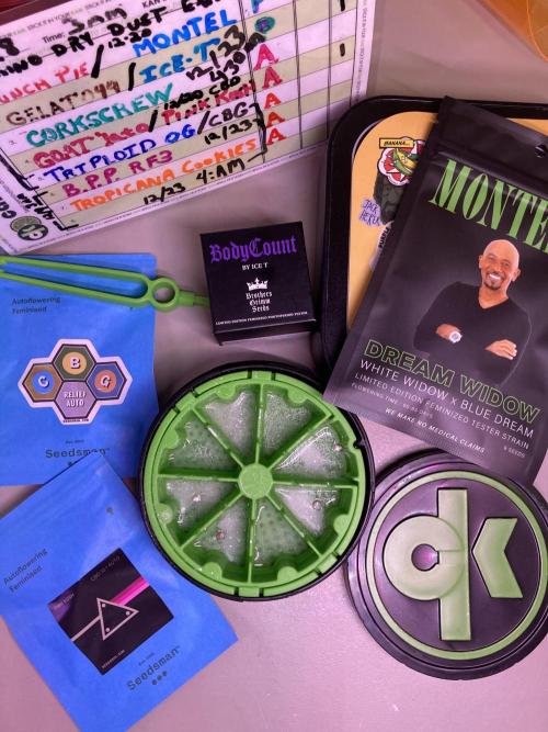 Montel tragic rise fall of Jar Jar Binks. Week 1