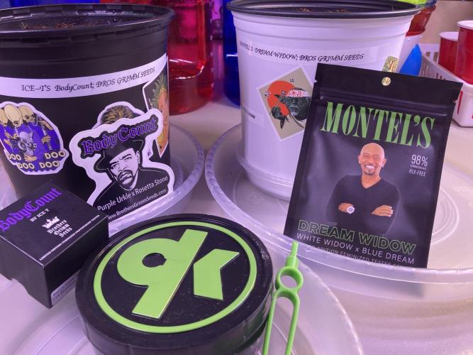 Montel tragic rise fall of Jar Jar Binks. Week 1 - 12/23 3:30 PM