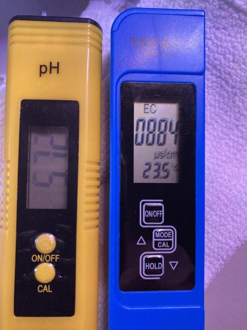 🥊🥧🍧🐐☕️🐓🔩🍌. Week 3 - 12/25 11:15 AM