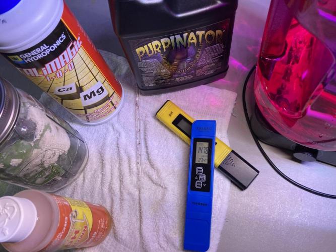 Montel tragic rise fall of Jar Jar Binks. Week 1