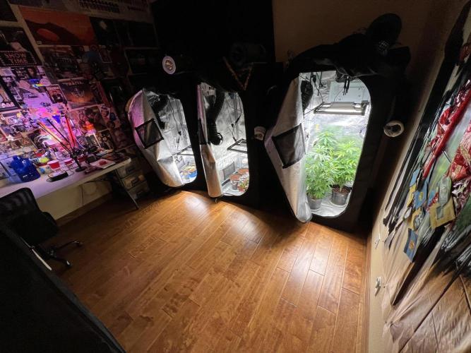 Montel tragic rise fall of Jar Jar Binks. Week 1 - 12/27 2:45AM