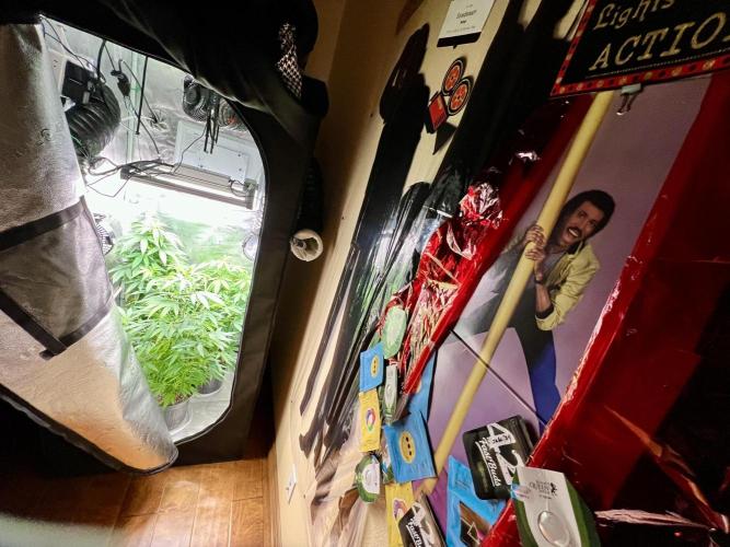 Montel tragic rise fall of Jar Jar Binks. Week 2 - 1/2/26 1:29 AM