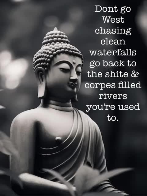 Montel tragic rise fall of Jar Jar Binks