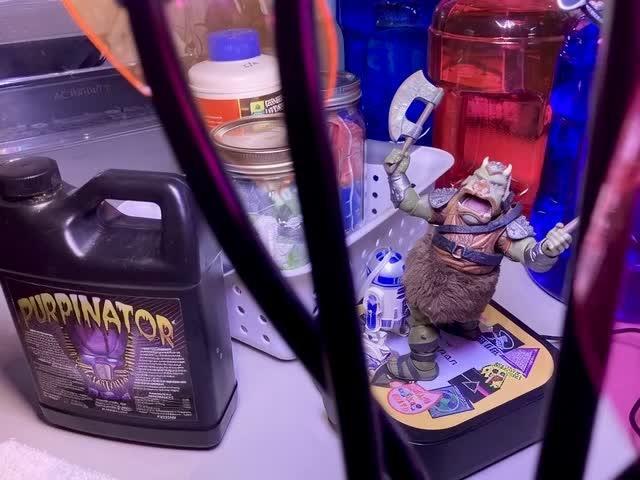 Montel tragic rise fall of Jar Jar Binks