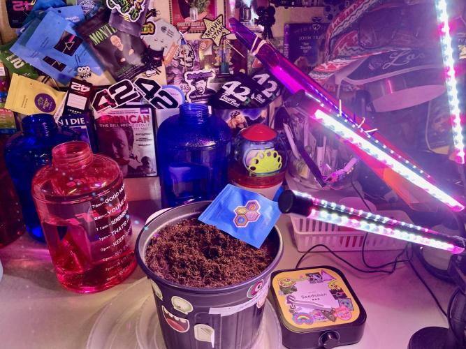 Montel tragic rise fall of Jar Jar Binks. Week 3 - 1/6 6:0 8 AM starting over CBG