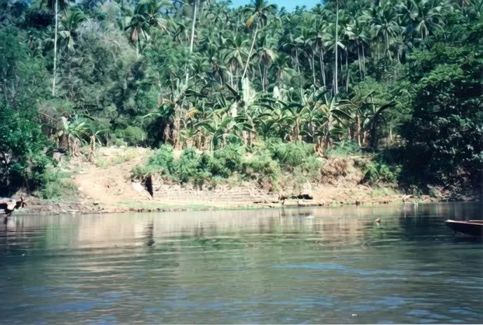 Montel tragic rise fall of Jar Jar Binks