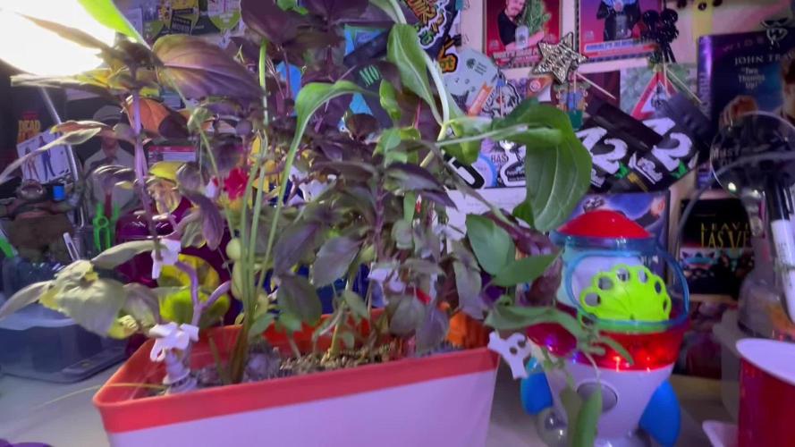 Montel tragic rise fall of Jar Jar Binks