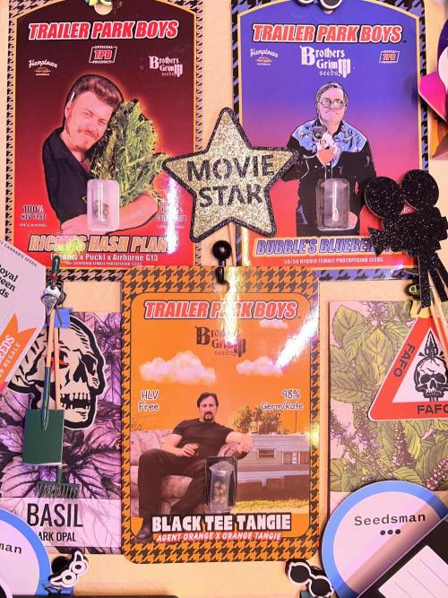 Montel tragic rise fall of Jar Jar Binks. Week 4 - 11/17 1:38 PM