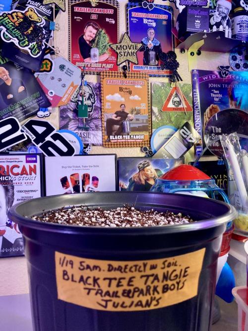 Montel tragic rise fall of Jar Jar Binks. Week 5 - 1/19 5 AM