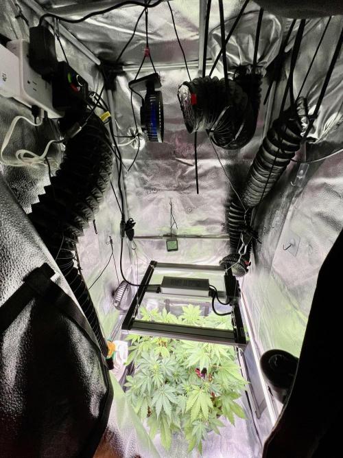 🥊🥧🍧🐐☕️🐓🔩🍌. Week 7