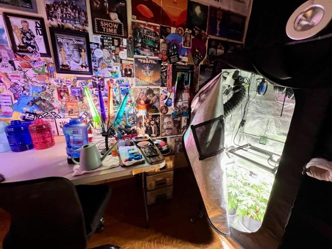 🥊🥧🍧🐐☕️🐓🔩🍌. Week 7