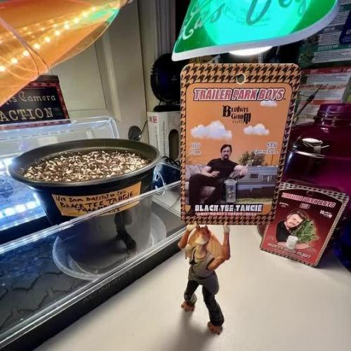 Montel tragic rise fall of Jar Jar Binks