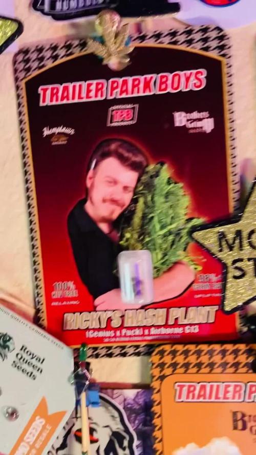 Montel tragic rise fall of Jar Jar Binks