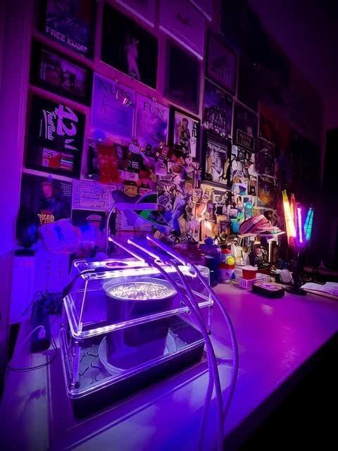 Montel tragic rise fall of Jar Jar Binks