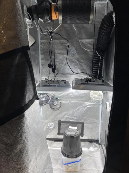 🥊🥧🍧🐐☕️🐓🔩🍌. Week 8 - 2/1 4am