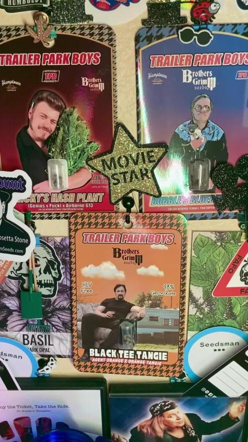 Montel tragic rise fall of Jar Jar Binks