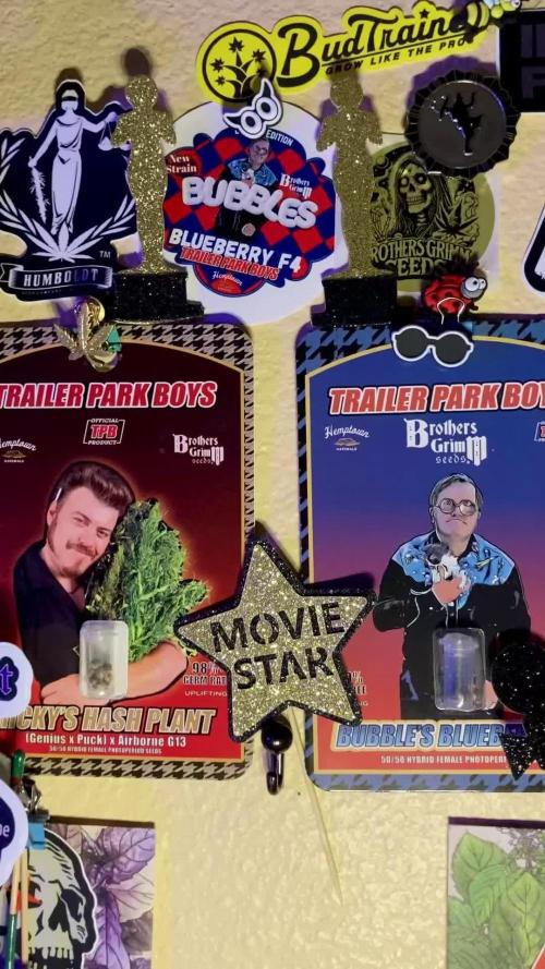 Montel tragic rise fall of Jar Jar Binks