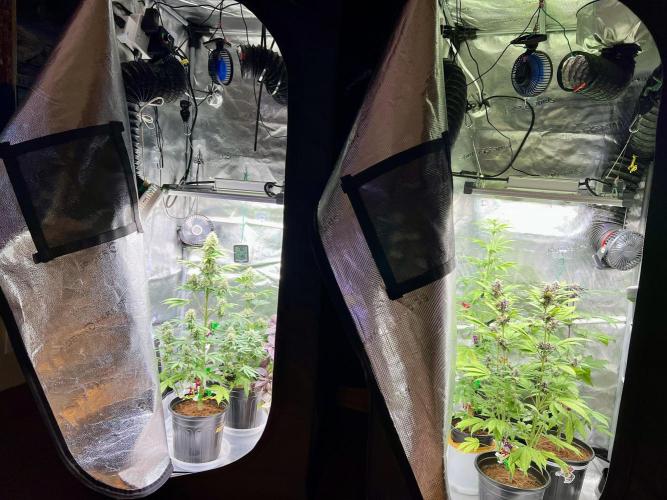 🥊🥧🍧🐐☕️🐓🔩🍌. Week 9 - 2/8 9:20 AM