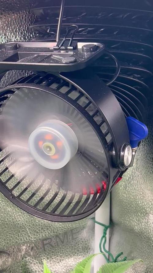 Montel tragic rise fall of Jar Jar Binks