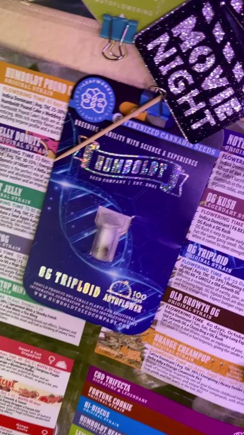 š„š„§š§šāļøšš©š