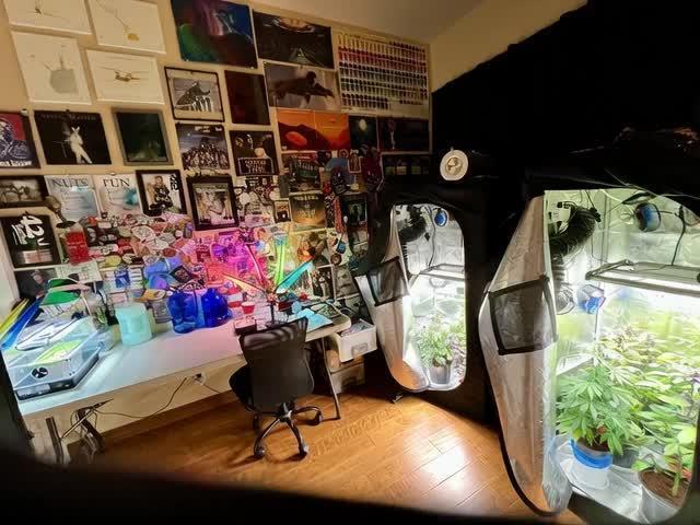 🥊🥧🍧🐐☕️🐓🔩🍌