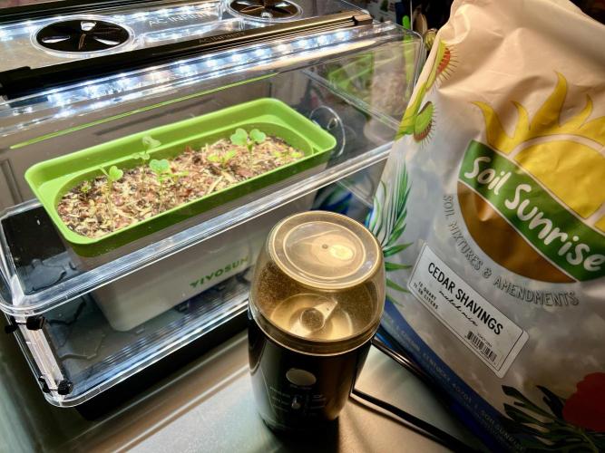 🔥📦RF3 AUTO by Fast Buds. Week 1 - 2/19 12:31PM