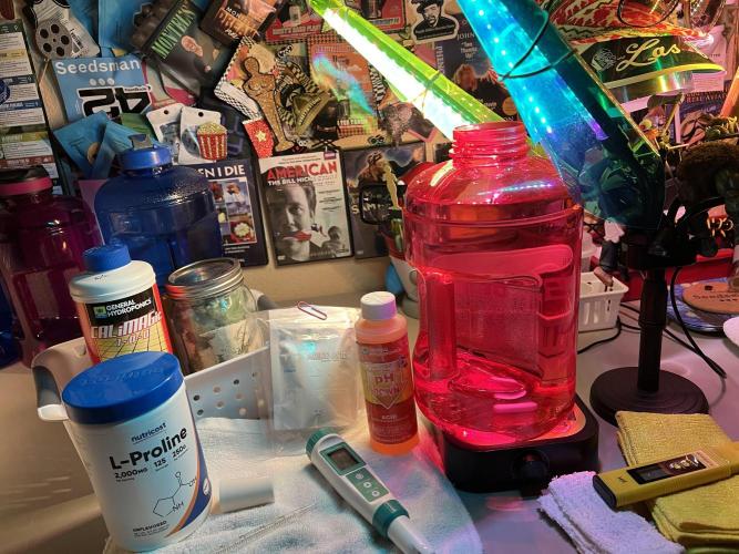 Erotic Adventures of Jar Jar & Reva. Week 4 - 8/2 