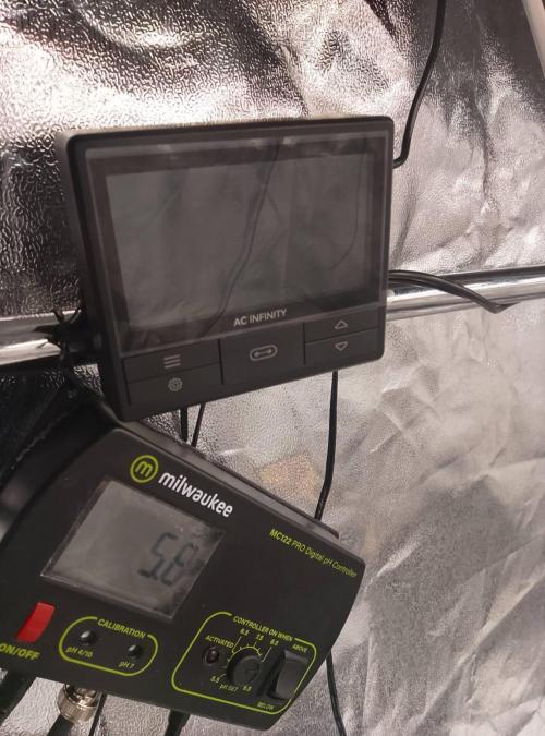 1st grow diaries diary. Week 2