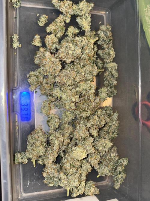Grapefruit auto/wedding cheesecake auto. Week 13