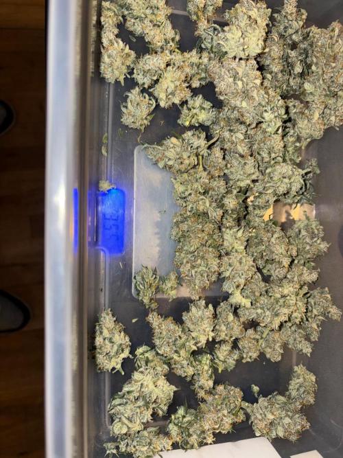Grapefruit auto/wedding cheesecake auto. Week 13