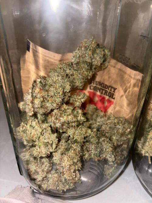 Grapefruit auto/wedding cheesecake auto. Week 13