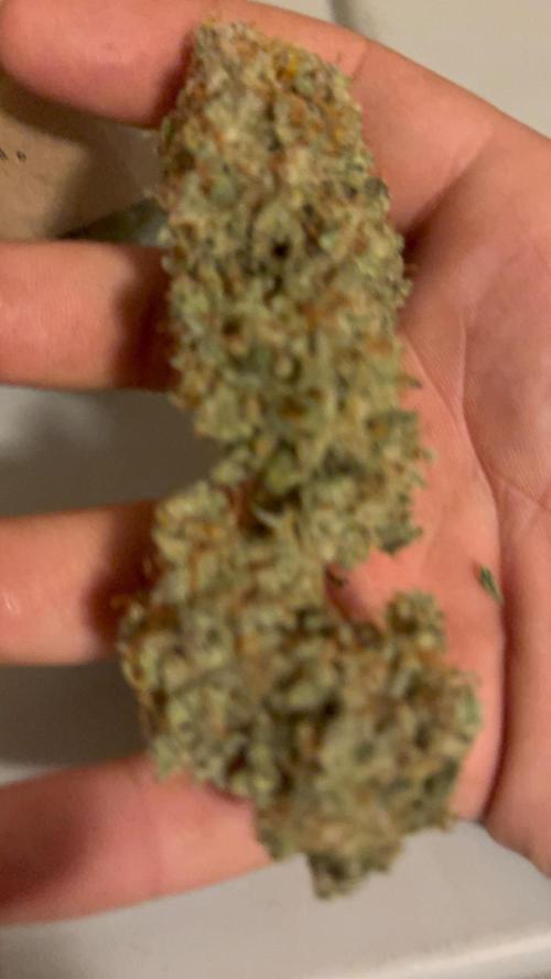 Grapefruit auto/wedding cheesecake auto. Week 13