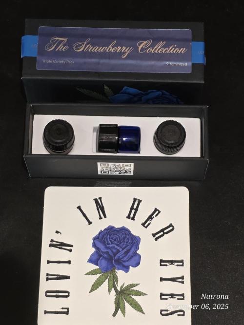 Strawberry Cadillac-Strng Seeds. Week 0