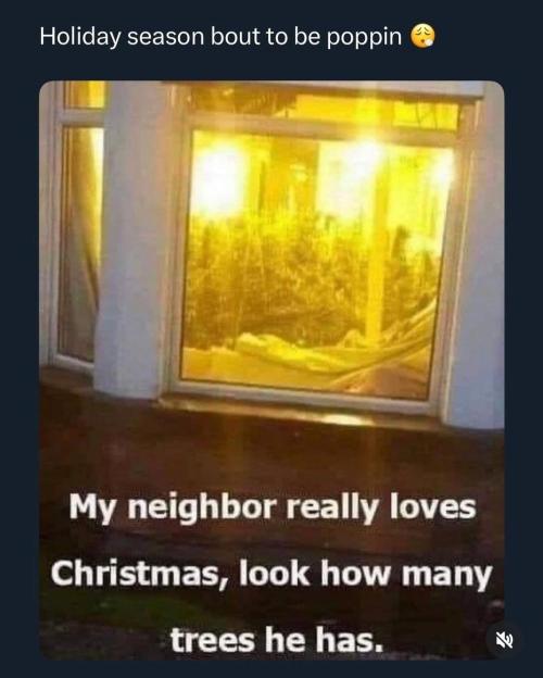 Cannabis links info and memes. Week 12