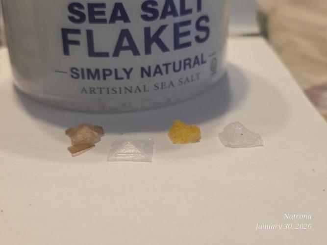 NYC Diesel (was Hey Abby). Week 19