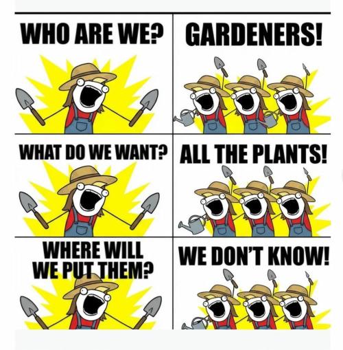 Cannabis links info and memes. Week 15