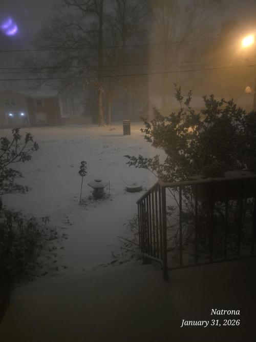 NYC Diesel (was Hey Abby). Week 20