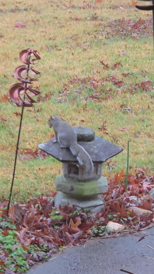 NYC Diesel (was Hey Abby)