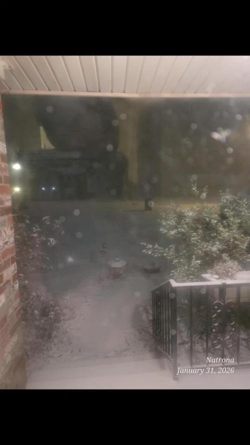 Strawberry Cadillac-Strng Seeds