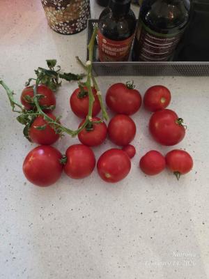 Comment by Natrona photo #1