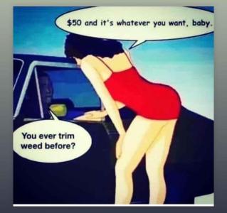 Comment by Natrona photo #1