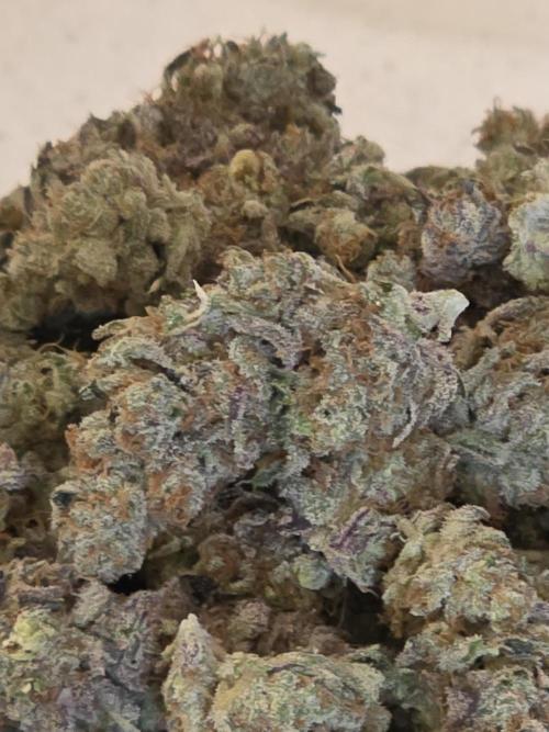 Strawberry Cadillac-Strng Seeds. Week 18