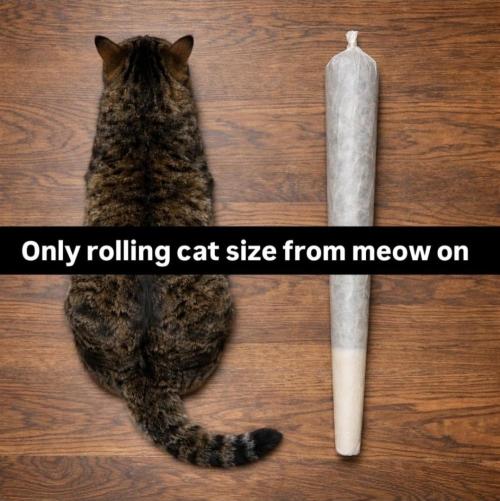 Cannabis links info and memes. Week 15