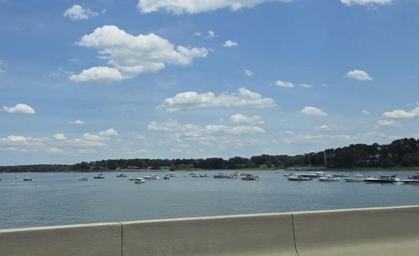White Widow X Crystal Meth Outside 2026. Week 8 - Lots of boats on the river in Father's day