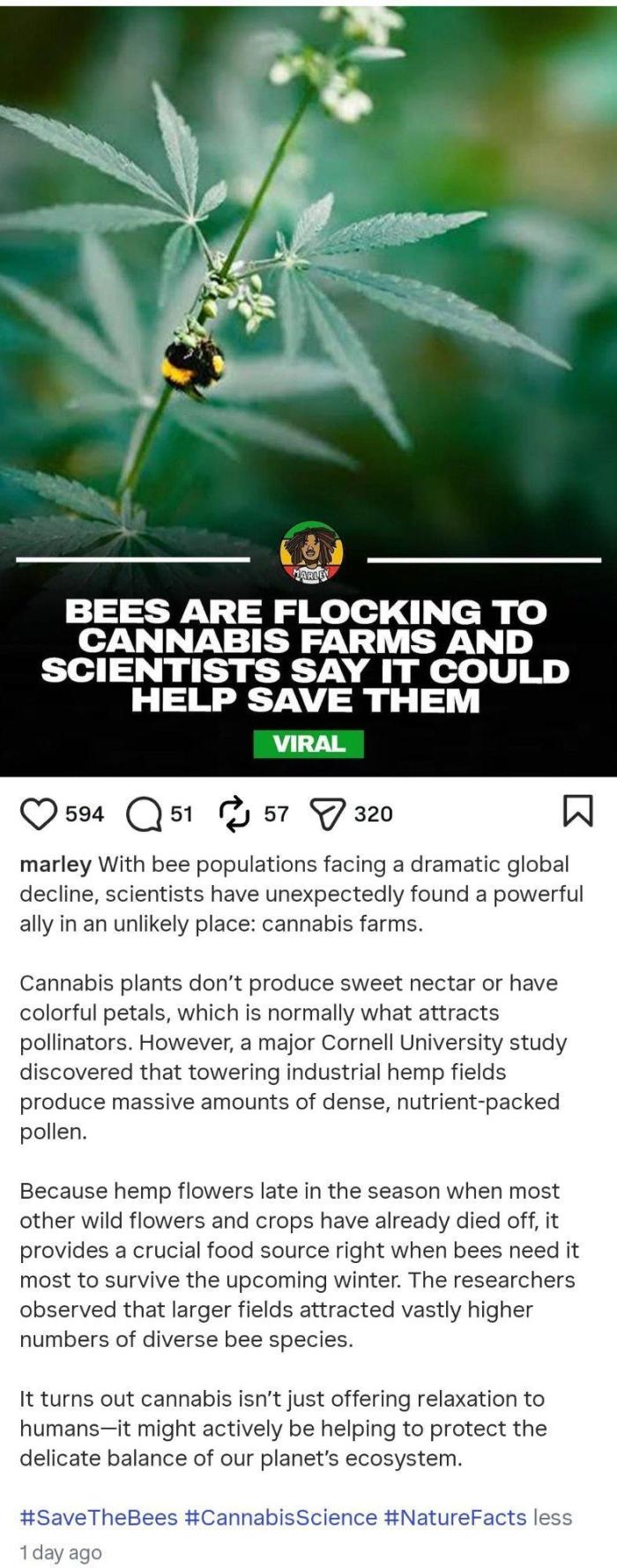 Cannabis links info and memes. Week 17