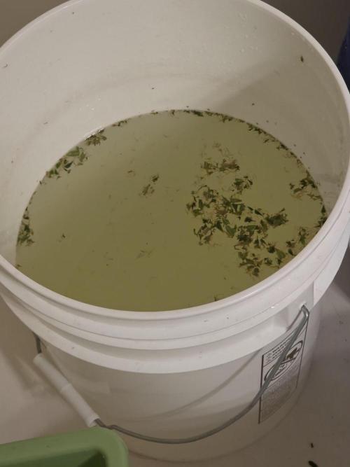 Auto Wappa. Week 12 - Wash,lots of debris