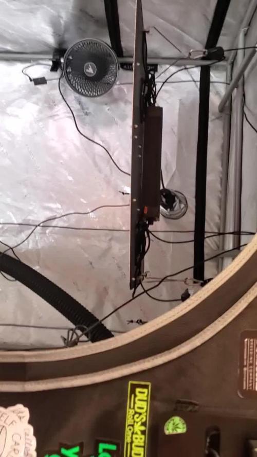 Sunset Sherbet 🌅🍧