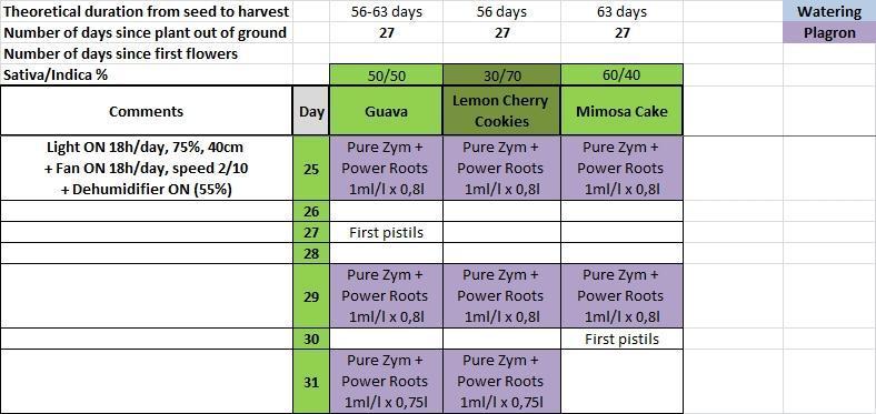 Δ Fast Buds Auto. Week 4
