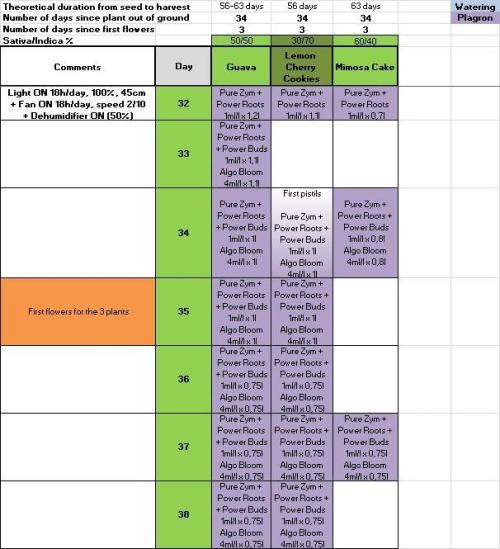 Δ Fast Buds Auto. Week 5