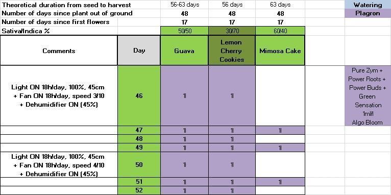 Δ Fast Buds Auto. Week 7